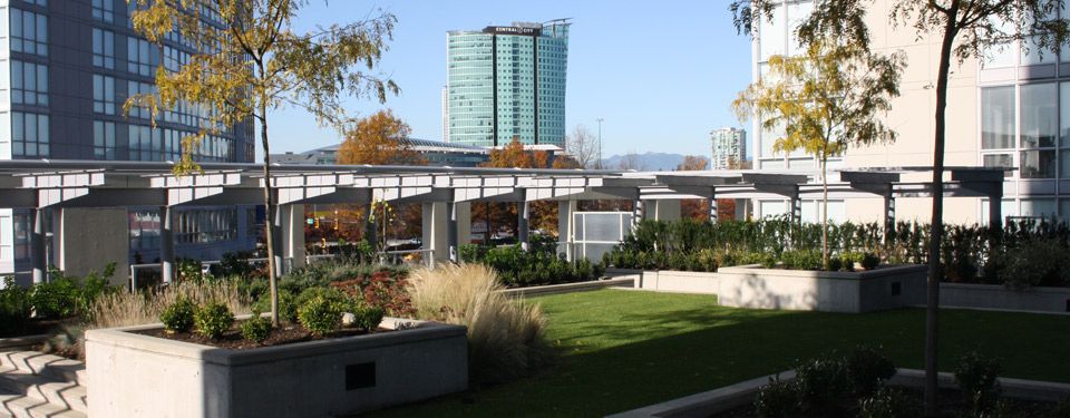 Outdoor garden patio with steel design elements